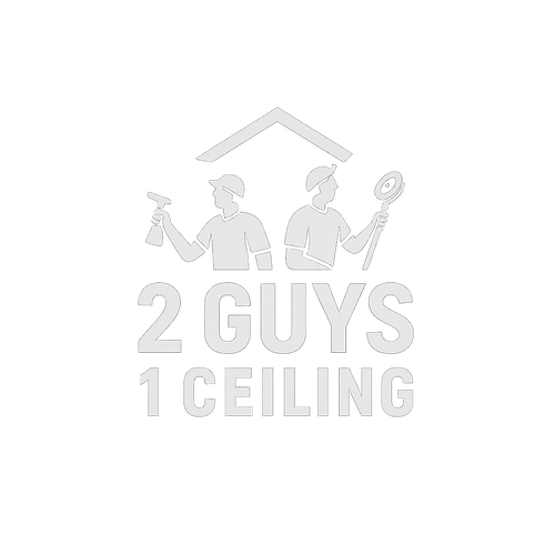 2 Guys 1 Ceiling